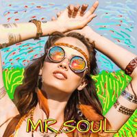 The Seatbelts - Mr. Soul