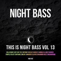 Night Bass - This is Night Bass Vol. 13
