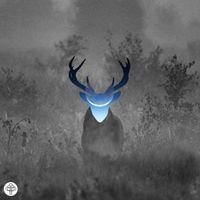 forsetî - ... on the forest floor