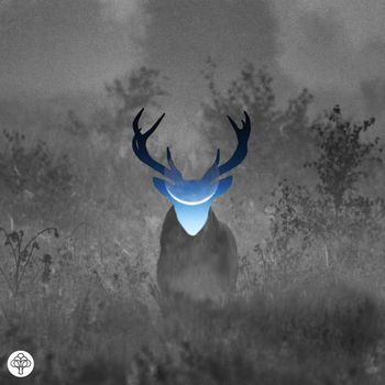forsetî - ... on the forest floor