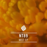 NT89 - Mist - EP