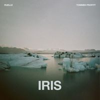 Tommee Profitt, Ruelle - Iris