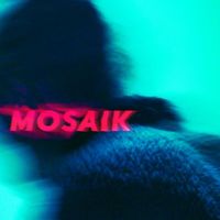 Enterprise - MOSAIK (EP [Explicit])