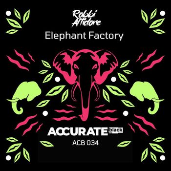 Robbi Altidore - Elephant Factory