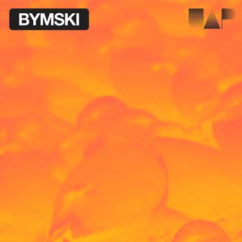 Bymski - Bymski - Birds (Follow Me) / Forgiven