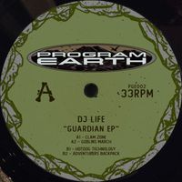 DJ Life - Guardian