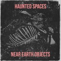 Near Earth Objects - Haunted Spaces