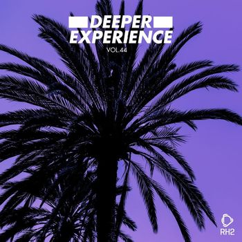 Various Artists - Deeper Experience, Vol. 44