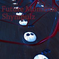 Shympulz - Future Moments