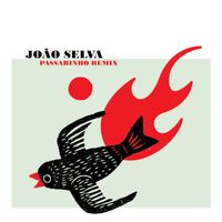 João Selva - Vai Te Curar (Voilaaa Remix)