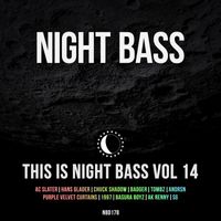 Night Bass - This is Night Bass: Vol. 14