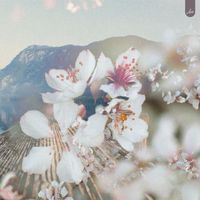 Tabi - Fresh Days