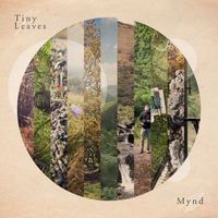 Tiny Leaves - Mynd