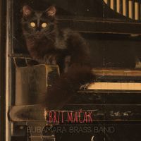Bubamara Brass Band - Brzi Mačak