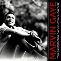 Marvin Gaye - You're a Wonderful One / When I'm Alone I Cry