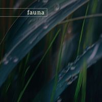 fauna - roosevelt (nature)