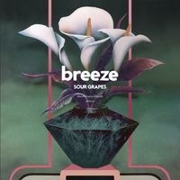 Breeze - Ready For Love