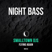 Smalltown DJs - Flying Again