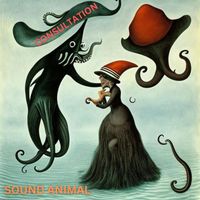 Sound Animal - Consultation