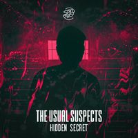 Hidden Secret - The Usual Suspects