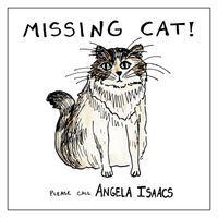 Angela Isaacs - Missing Cat!