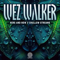 Wez Walker - Here And Now // Shallow Streams