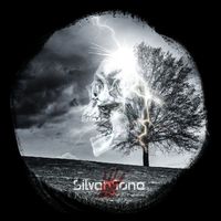 Silvertone - Beautiful Downfall (Explicit)