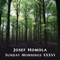 Josef Homola - Sunday Mornings XXXVI