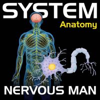 John Thomas Oaks - System Anatomy: Nervous Man