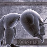 Noisuf-X - The Beauty of Destruction