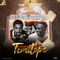Toy - Temitope (Explicit)