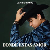 Luis Fernando - Donde Estas Amor