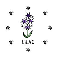 Lilac - lilac