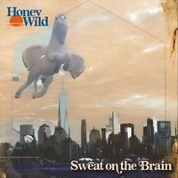Honey Wild - Sweat on the Brain