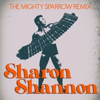 Sharon Shannon - The Mighty Sparrow (Remix)