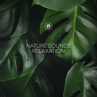 Meditation Music - Nature Sounds Relaxation