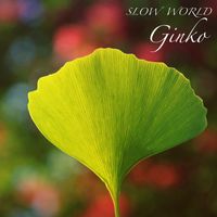 Slow World - Ginko