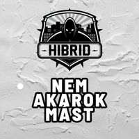 Hibrid - Nem Akarok Mást
