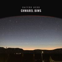 Dafydd Hedd - Chwarel Biws