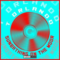 T Orlando - Sunbathing On The Moon