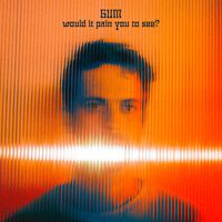 GUM - Would It Pain You to See?