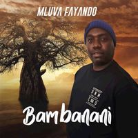 Mluva Fayando - Bambanani