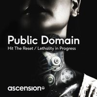 Public Domain - Hit The Reset / Lethality In Progress