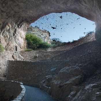 Bedlam - Bat Guano Crazy