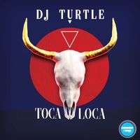 Dj Turtle - Toca Loca