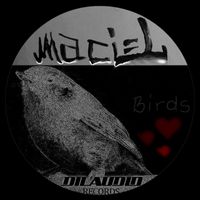 Maciel - Birds