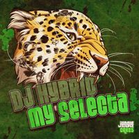 DJ Hybrid - My Selecta