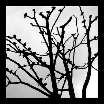 Various Artists - Found
