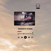 Harry - Enigmatic Echoes