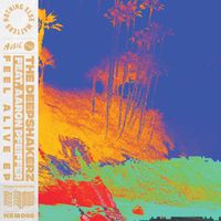 The Deepshakerz (feat. Aaron Pfeiffer) - Feel Alive EP (Explicit)
